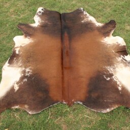 Tricolor Cowhide Rug Cow Skin Genuine Hide Floor - thumbnail 3