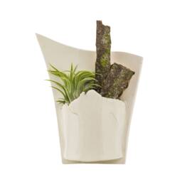 Unfinished Wall Planter - thumbnail 3