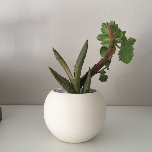Ceramic Bisque Planter Ready To Paint Cactus Air Pottery Decoration Garden Decor Small Pots Succulent Plant Gifts Handmade Art - image 1