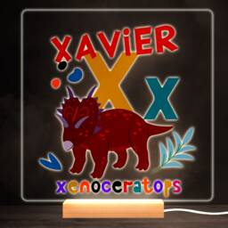 x Dinosaur Alphabet Colourful Square Personalised Gift Led Lamp Night Light - Bedroom