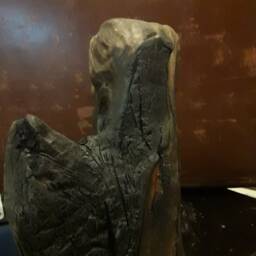 Old Stump Saved From Fire in Cyprs - thumbnail 2