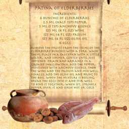Ancient Roman Recipe Patina Of Elderberries Apicius A5 Canvas Photo Print Cooking - thumbnail 2