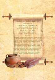 Ancient Roman Recipe Patina Of Elderberries Apicius A5 Canvas Photo Print Cooking - thumbnail 1