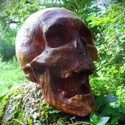 Skull - thumbnail 2