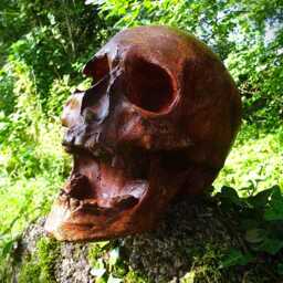 Skull - thumbnail 4