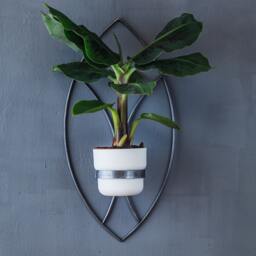 Wall Garden Indoor Jungle Metal Flower Holder Plant Hanger, Hilton Carter Style Modern Farmhouse Decor, Green House Geometric Welded Decor - thumbnail 2