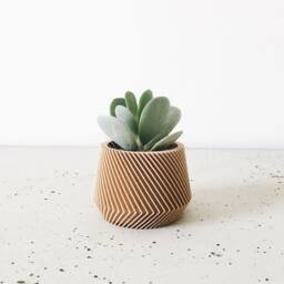 Set Of 3 Small Succulent Plant Pots - Original Planter Gift - thumbnail 2