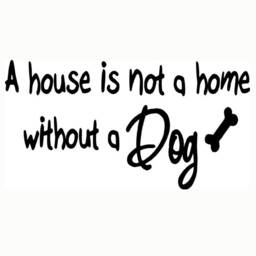 Vwaq A House Is Not A Home Without Dog - Vinyl Lettering Pet Wall Art Quote Decal - thumbnail 2