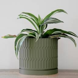 "Mabel Planter With Drainage & Saucer in Army Green, Boho 3D-Printed Plant Pot, Sizes 4"" 5"" 6"" 7"" 8" - thumbnail 2