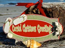 Seashell Coastal Christmas Greetings Hanging Greetings - thumbnail 1