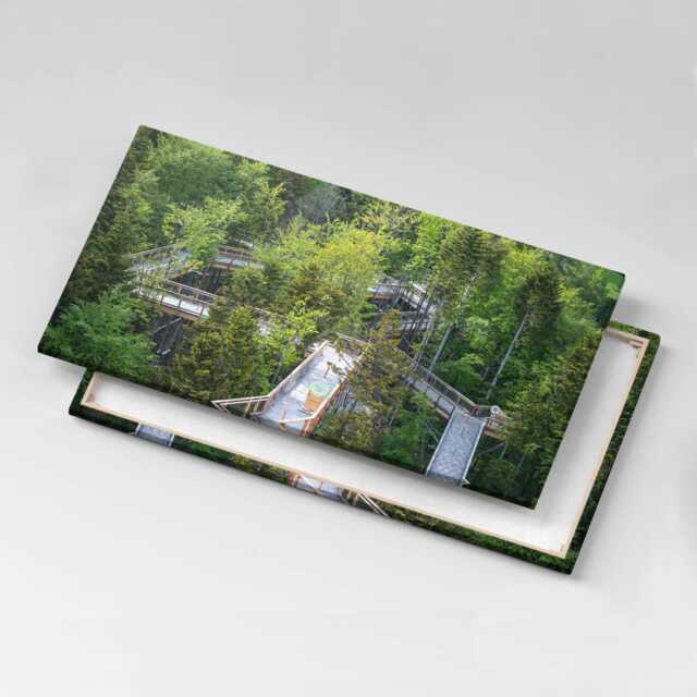 Path in Krynica Zdroj Canvas, Wall Art Picture, Green Decoration, Nature Canvas - image 1