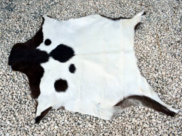 Genuine Leather Goat Skin Rug 100% Natural, European Cyprus - image 1