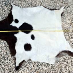 Genuine Leather Goat Skin Rug 100% Natural, European Cyprus - thumbnail 4