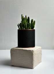 Indoor Planter - Patterned Pot Black & Copper House Plants - thumbnail 1