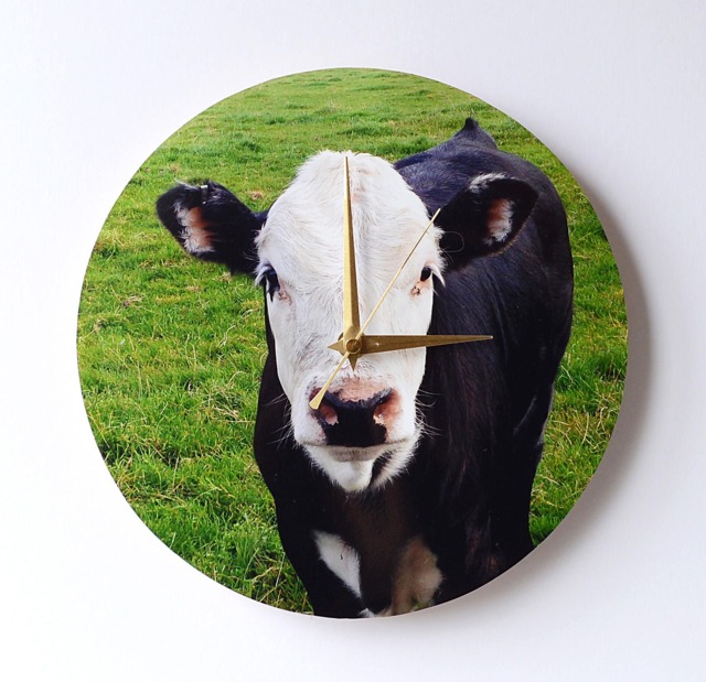 Cow Wall Clock - Decoupage Photo Black Calf Farm Animal & White - image 1