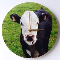 Cow Wall Clock - Decoupage Photo Black Calf Farm Animal & White - thumbnail 2