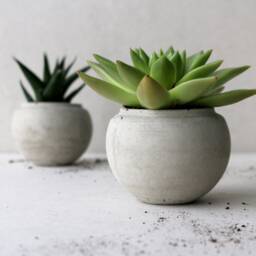 Set Of 3 Minimalist Sphere Concrete Planters - Succulent Pots - thumbnail 3