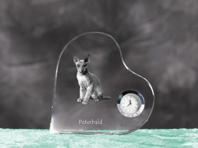 Peterbald - Crystal Clock in The Shape Of A Heart With Image Pure-Bred Cat - image 1