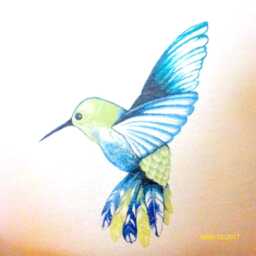Hummingbird Pillow Tapestry Covers - thumbnail 1