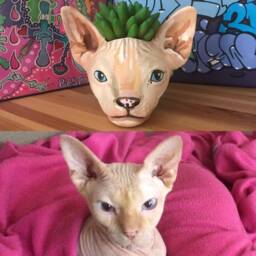 Custom Sphynx Cat Planter Hand-Painted Lover Gift - thumbnail 2
