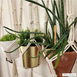 Macrame Chain Plant Hanger With Wooden Ring, Handmade Using Recycled Cotton Cords, Unique Boho Gift For Moms, Sustainable Home D??cor - thumbnail 4