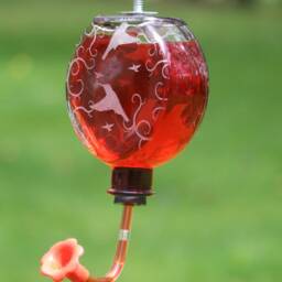 Small Etched Mom & Baby Hummingbird For Window Or Garden Bottle Hummingbird Feeder - thumbnail 4