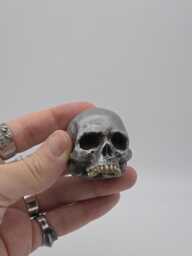 Dirty Silver Effect Solid Tiny Human Half Skull Ornament. Small Replica Plaster Of Paris Skull - thumbnail 1