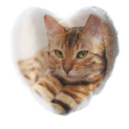 Personalized Photo Glitter Heart Cushion, Custom Image - thumbnail 1