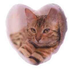Personalized Photo Glitter Heart Cushion, Custom Image - thumbnail 2