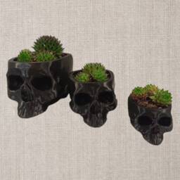 Creepy Skull Planter Gothic Home Decor, Halloween Candy Bowl - thumbnail 2