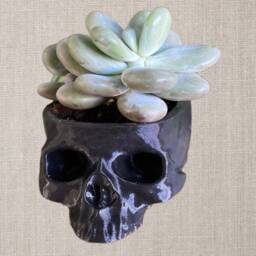 Creepy Skull Planter Gothic Home Decor, Halloween Candy Bowl - thumbnail 3