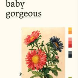 Hello Baby Gorgeous - Lisa Barlow Quote Real Housewives Of Salt Lake City Rhoslc Physical Poster Print Gift Hw13.1 - thumbnail 3