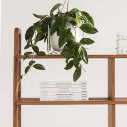 Wooden Bookshelf Customizable Mid-Century Modern Bookcase, Storage Cabinet - thumbnail 4