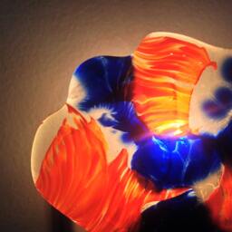 Night Light, Nightlight, Light Nursery, Kids, Nursery Decor, Baby Gift, Bedroom Wall Plug In - thumbnail 2