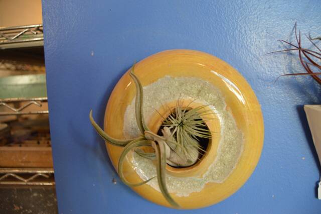 Wall Art Fused Glass - image 1