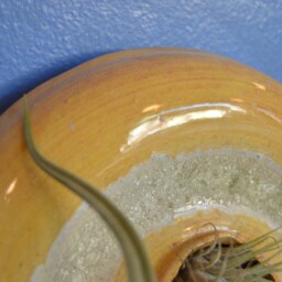 Wall Art Fused Glass - thumbnail 2