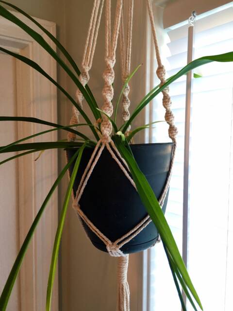 Cotton Macrame Twist Planter/Hanger - Small/Medium - image 1