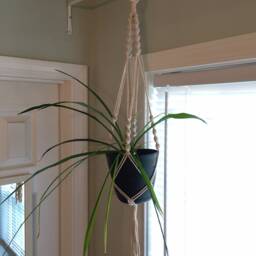 Cotton Macrame Twist Planter/Hanger - Small/Medium - thumbnail 2