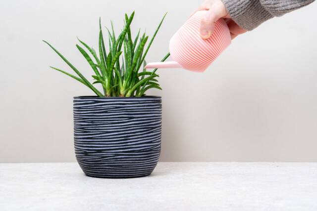 Pastel Indoor Plant Watering Can Texture Design, 250Ml - image 1
