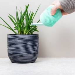 Pastel Indoor Plant Watering Can Texture Design, 250Ml - thumbnail 3
