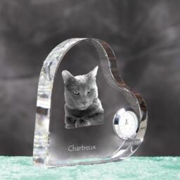 Chartreux - Crystal Clock in The Shape Of A Heart With Image Pure-Bred Cat - thumbnail 3