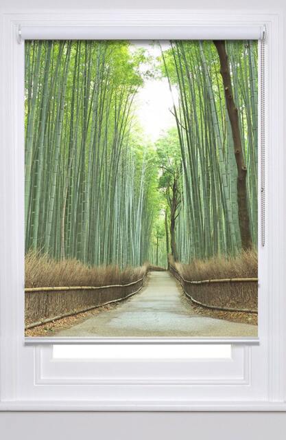 Forest Path Among Bamboo Trees Natural Photo Printed Custom Made Window - Nat17 Roller Blind, Regular Or Blackout Shade, Chain Cordless - image 1