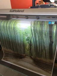 Forest Path Among Bamboo Trees Natural Photo Printed Custom Made Window - Nat17 Roller Blind, Regular Or Blackout Shade, Chain Cordless - thumbnail 3