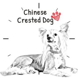 Chinese Crested Dog, Free Standing Mdf Floor Clock With An Image Of A Dog - thumbnail 2