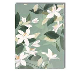 White Jasmine Blossom Botanical Pattern Sage Green Floral Design Canvas Wall Art Print Decor Picture Ready To Hang - thumbnail 1
