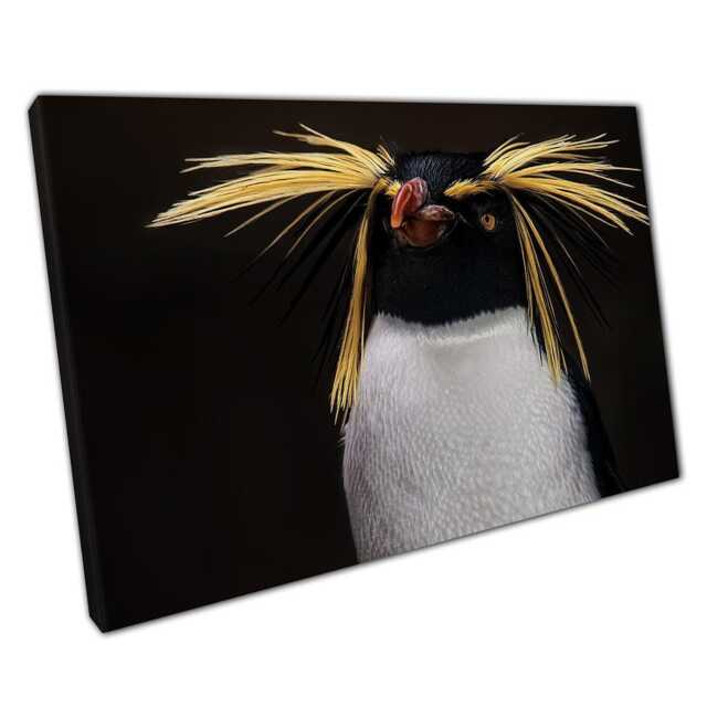 Southern Rockhopper Penguin Canvas Wall Art Print - Majestic Wildlife Decor For Home Or Office - image 1
