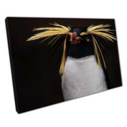 Southern Rockhopper Penguin Canvas Wall Art Print - Majestic Wildlife Decor For Home Or Office - thumbnail 1