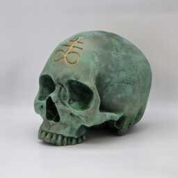 Leviathan . Plaster Of Paris Life Size Human Skull Replica - thumbnail 3