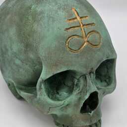 Leviathan . Plaster Of Paris Life Size Human Skull Replica - thumbnail 2