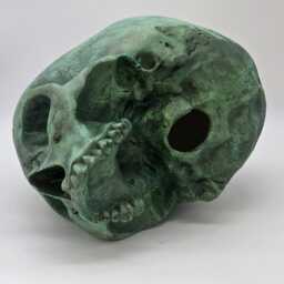 Leviathan . Plaster Of Paris Life Size Human Skull Replica - thumbnail 4